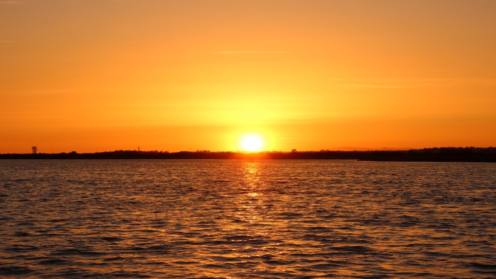 Boat Trips in Faro and the Ria Formosa