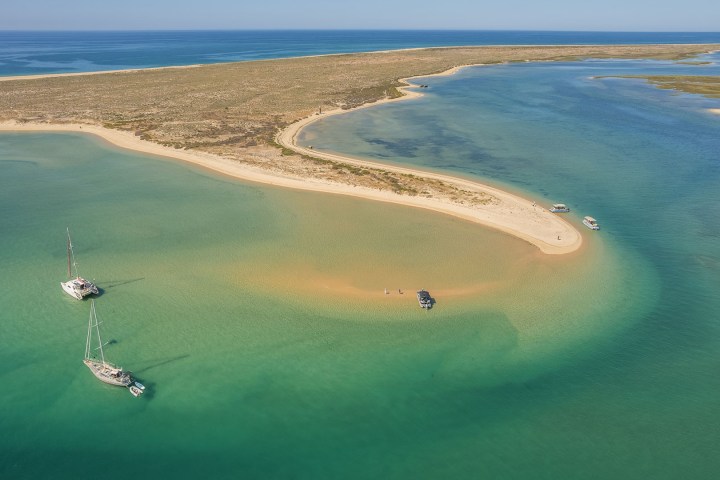 a group of people on a beach near a body of water