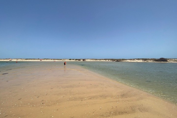 Sandy beach with clear blue sky and distant shoreline.