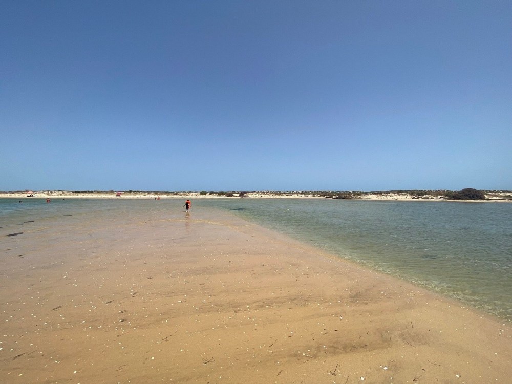 Sandy beach in the Ria Formosa